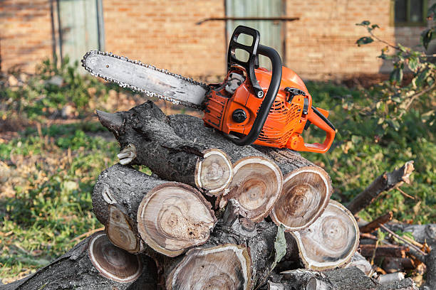 Best Tree Removal Cost  in Lake Waccamaw, NC